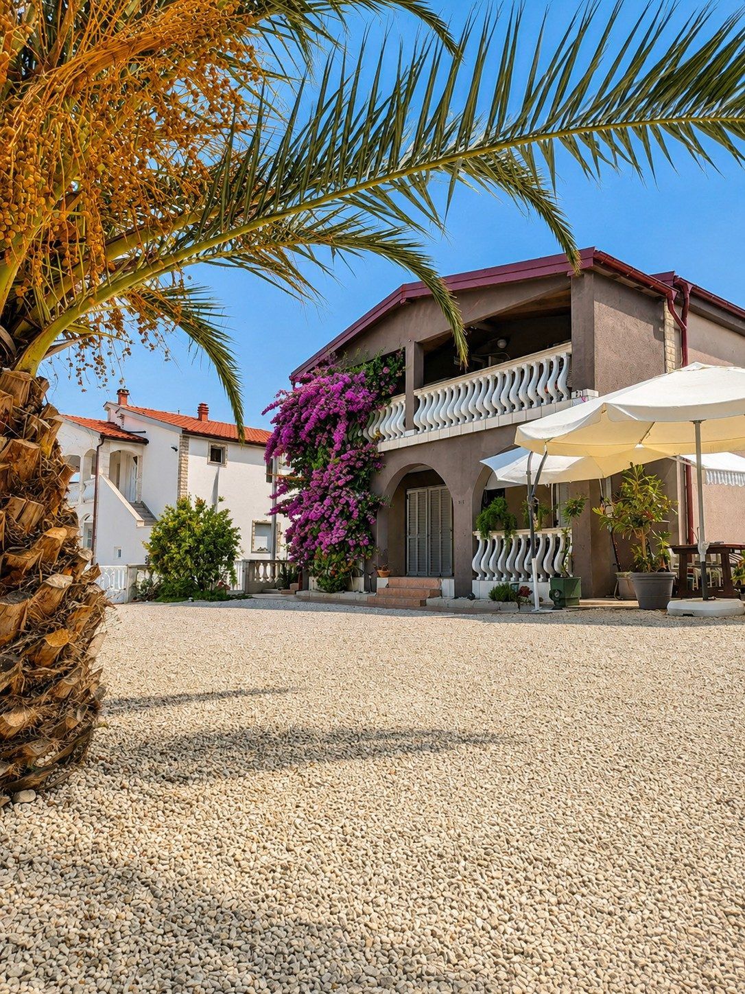 Gravel courtyard with palms in front of the house